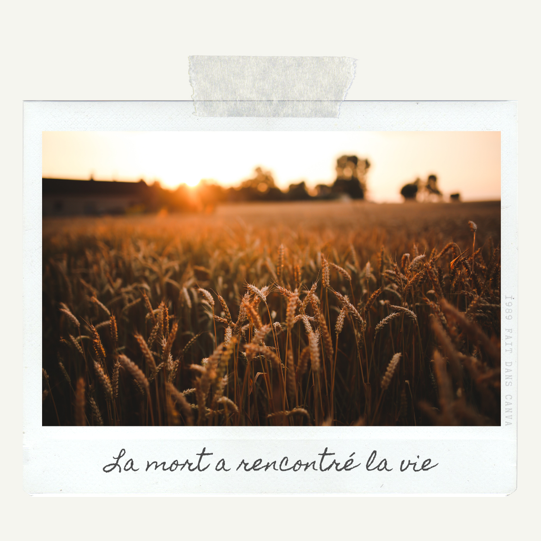 La mort a rencontré la vie.