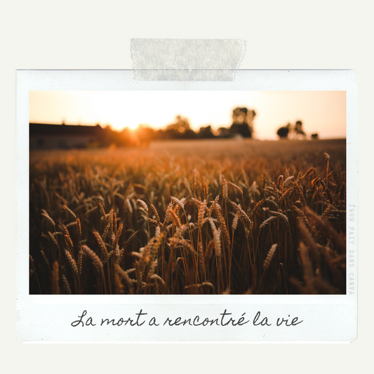 La mort a rencontré la vie.