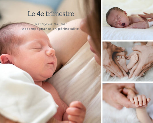 Le 4e trimestre